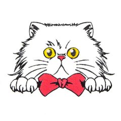 BFC31553 Cat Having Fun