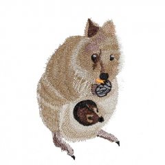 BFC31577 Quokka Mama and Baby