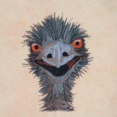 BFC31613 Crazy Emu