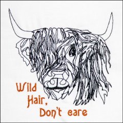 BFC31616 The Scottish Highland Bull