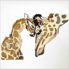 BFC31621 A Mother's Love