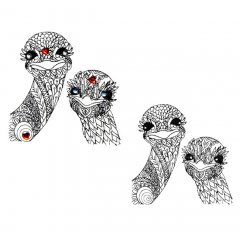 BFC31623 Embellished Ostriches