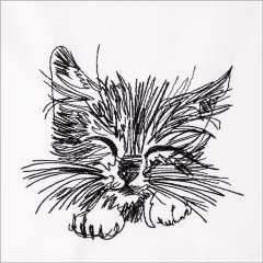BFC31691 Sleeping Kitten Sketch