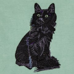 BFC31725 The Cat From Delight's Midnight Companions
