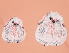 BFC31733 Baby Bird