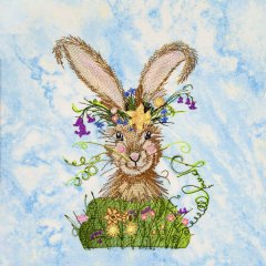 BFC31744 Sally King's Spring Hare Do