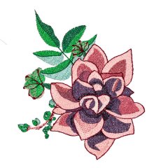 BFC31752 Succulent Beauty