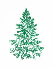 BFC31773 Christmas Tree