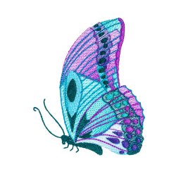 BFC31812 19th Anniversary Butterfly 2