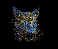 BFC31860  Intense Feline Stare