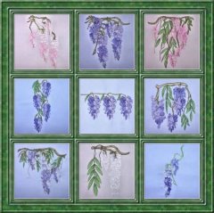 BFC0319 Watercolor Wisteria