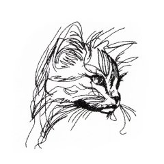 BFC31975 Cat on Alert