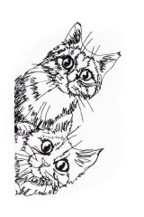 BFC31976 Cats Checking Things Out