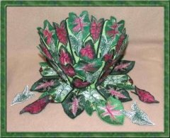BFC0322  Lace Bowl & Doily  Caladium