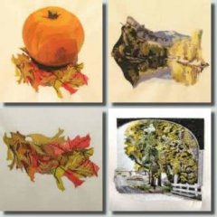BFC0363 Autumn