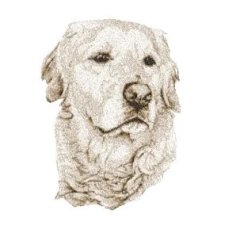 RMG3871  Fred