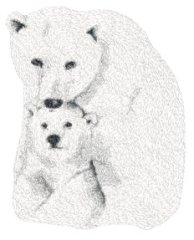 RMG3882 Momma Bear