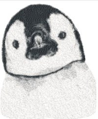 RMG3883 Penguin
