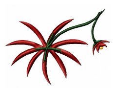 RMG3:  Christmas Morning Flower