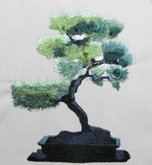 BFC0402 Bonsai