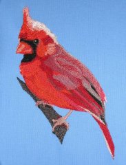 BFC0433 Cardinal-03