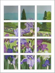 BFC0434 Windows - Iris Fields