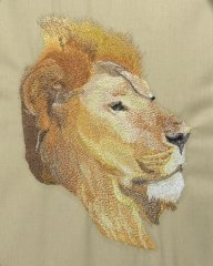 BFC0468 Animals of Africa