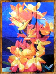 BFC0490 Window - Floral Fantasy III