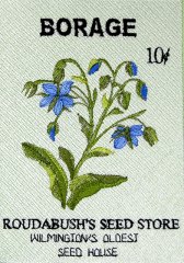 BFC0497 Seed Packets - Herbs 01