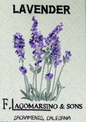 BFC0497 Seed Packets - Herbs 06
