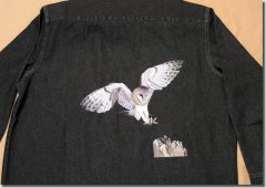 BFC0504 Owls