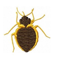 RMG504 Bed Bug