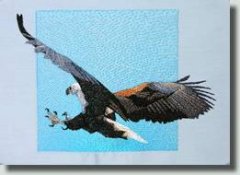 BFC0509 Eagles in Flight-01