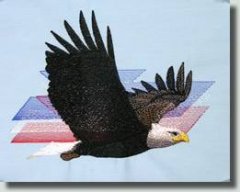 BFC0509 Eagles in Flight-03