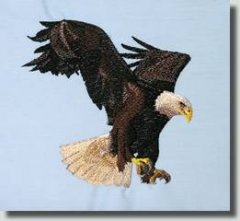 BFC0509 Eagles in Flight-04