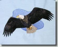 BFC0509 Eagles in Flight-05