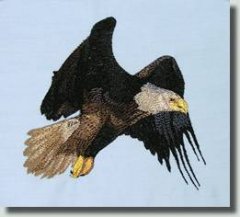 BFC0509 Eagles in Flight-06