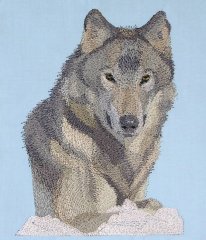 BFC0514 Wolves