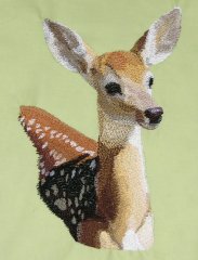 BFC0517 Deer