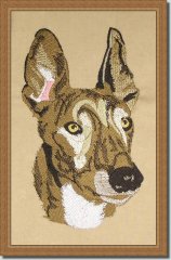BFC0526 Greyhounds