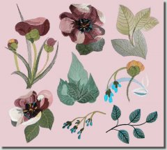 BFC0535 Floral Expressions I - Elements
