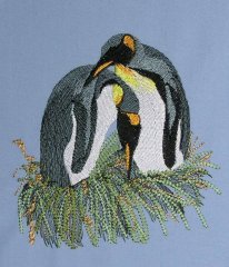 BFC0537 Penguins