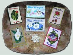 BFC0551 Postcards - All Occasion