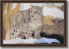 BFC0564 Window-Snow Leopard