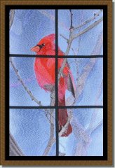 BFC0590 Window-A Cardinal