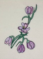 BFC0618 Color Sketches 04