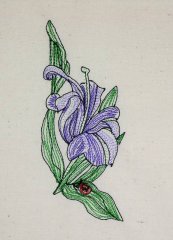 BFC0618 Color Sketches 06