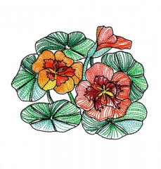 BFC0621 Color Sketches ii 02