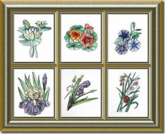 BFC0621 Color Sketches II