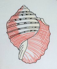 BFC0632 Color Sketches Shells 01